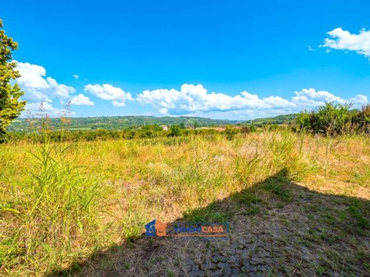 immagine annuncio 9 di 14