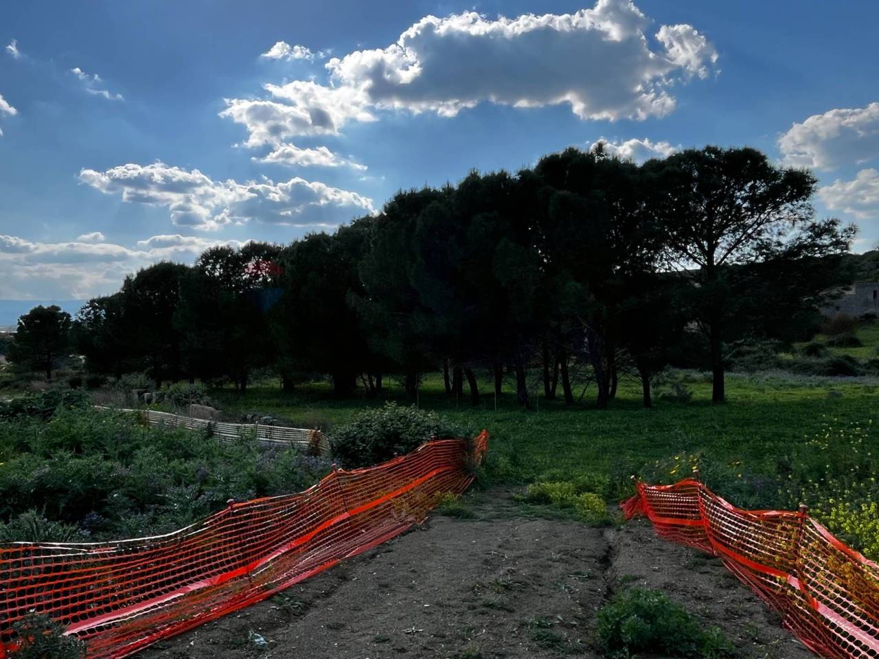 immagine annuncio 7 di 8