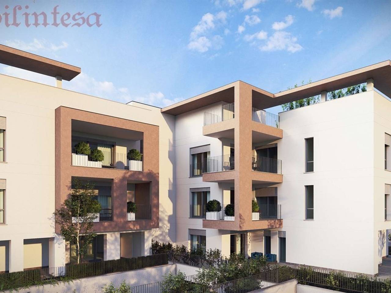 immagine annuncio 2 di 6