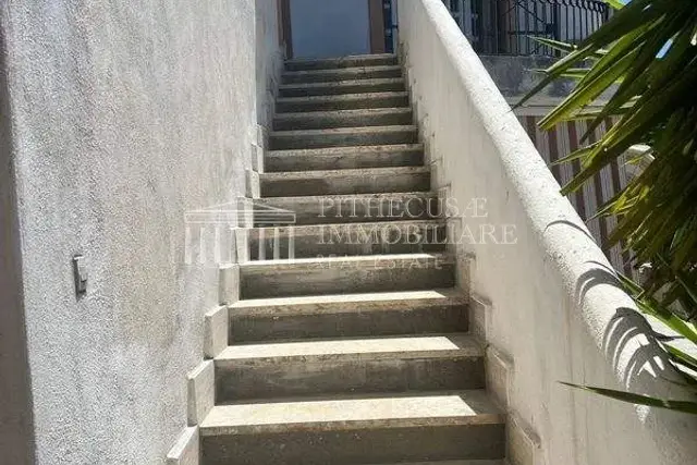 insertion image