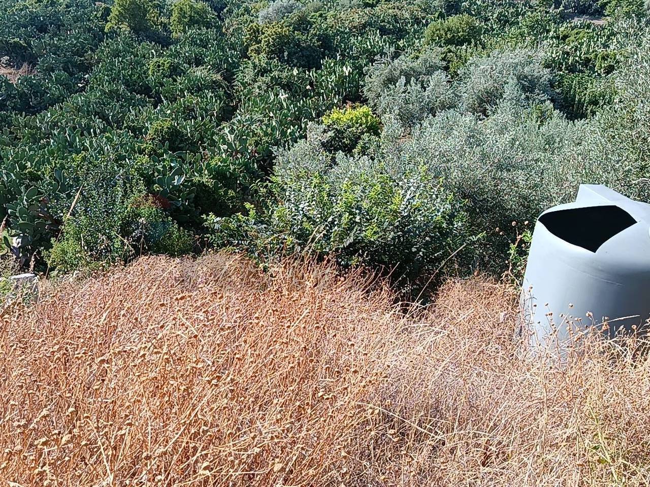 immagine annuncio 4 di 7