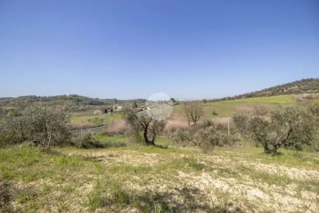 Terreno agricolo in Strada del Pascolaretto, Palombara Sabina - Foto 1