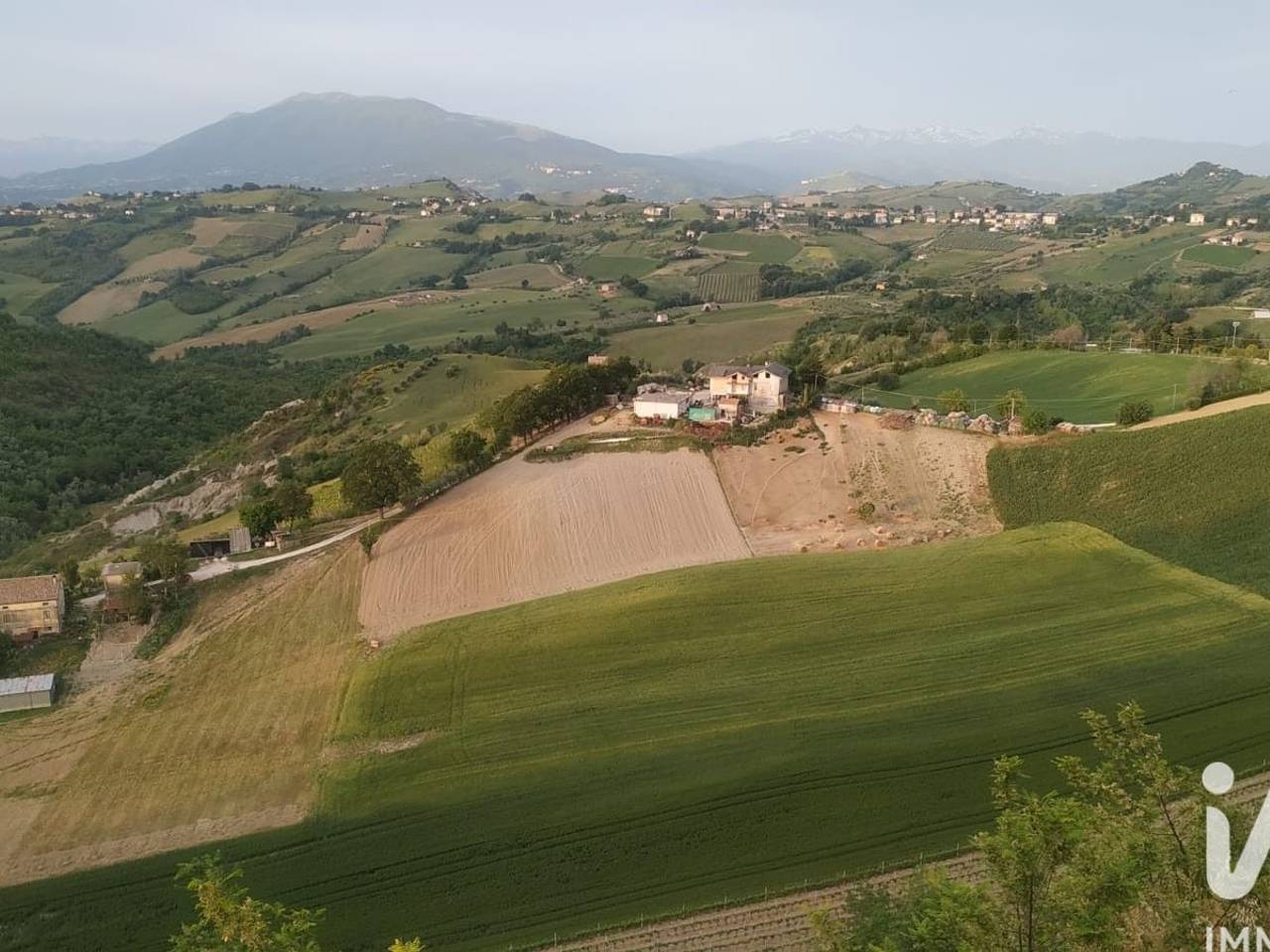 immagine annuncio 12 di 13