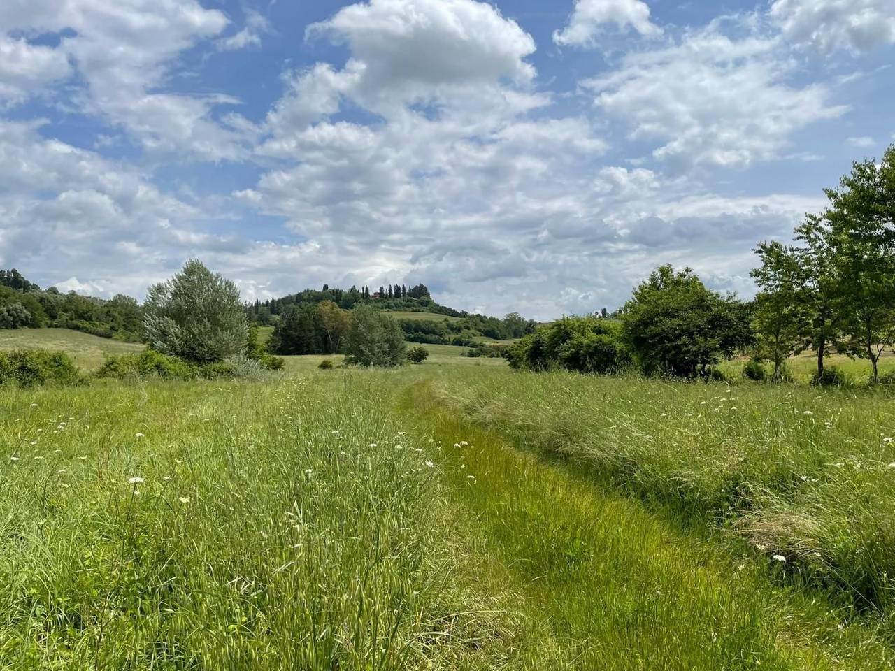 immagine annuncio 13 di 14