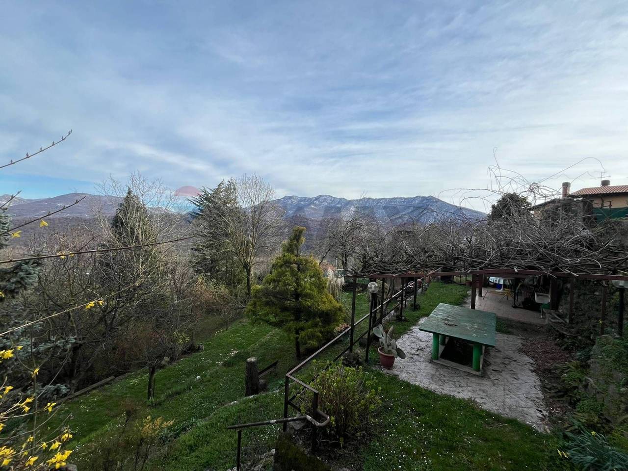 immagine annuncio 8 di 12