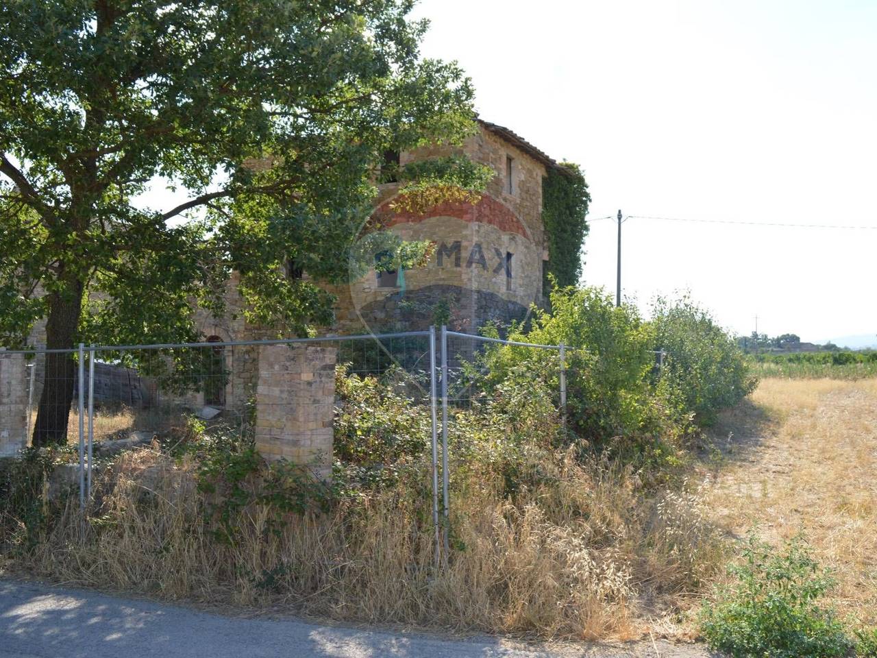 immagine annuncio 3 di 14