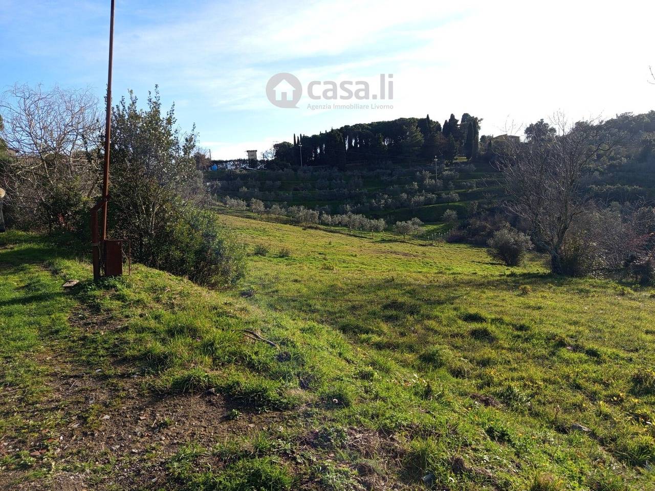 immagine annuncio 8 di 15