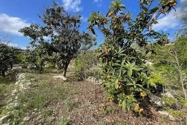 Terreno agricolo in Via Salvo d'Acquisto, Siracusa - Foto 1