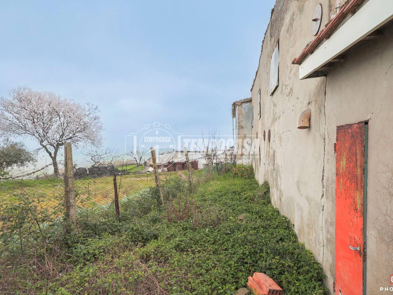 immagine annuncio 5 di 11