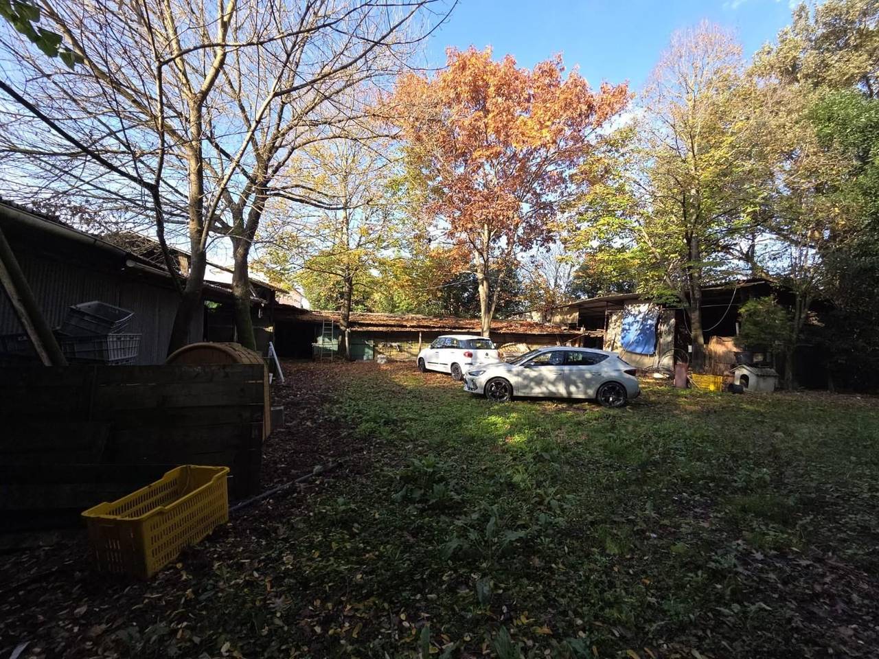 immagine annuncio 7 di 15