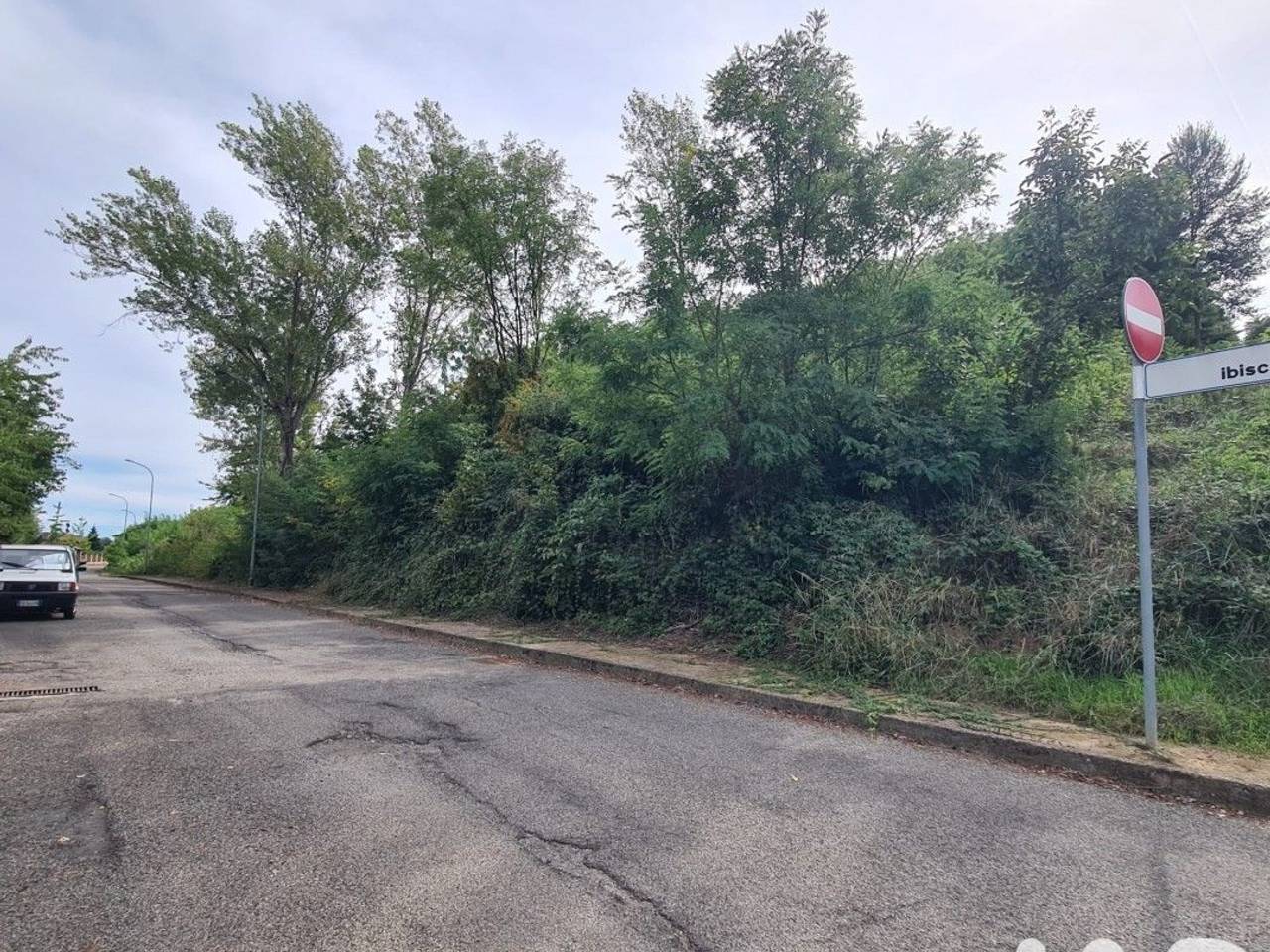 immagine annuncio 8 di 12