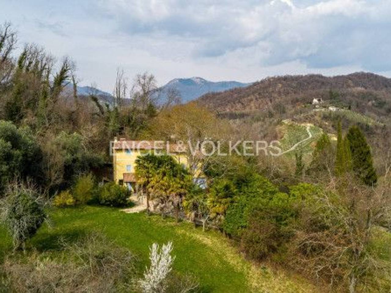 immagine annuncio 6 di 9