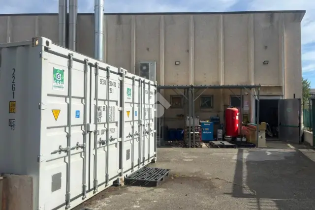 insertion image