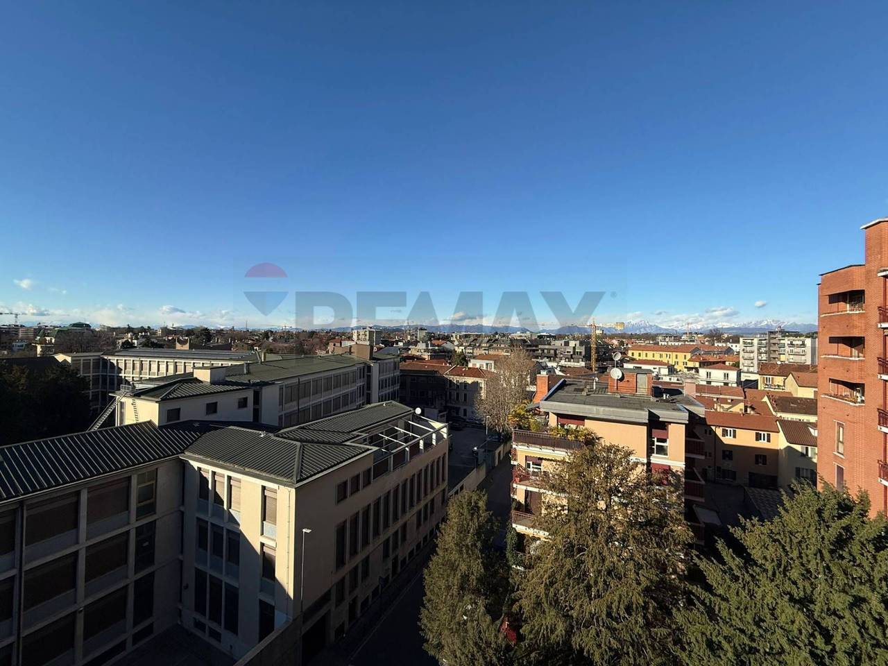 immagine annuncio 12 di 13