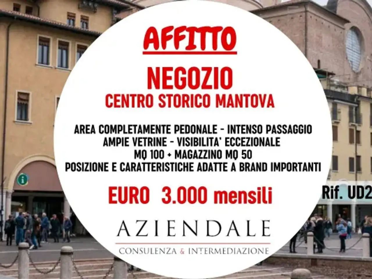 Negozio in Via Principe Amedeo di Savoia, Mantova, {3} - Foto 1
