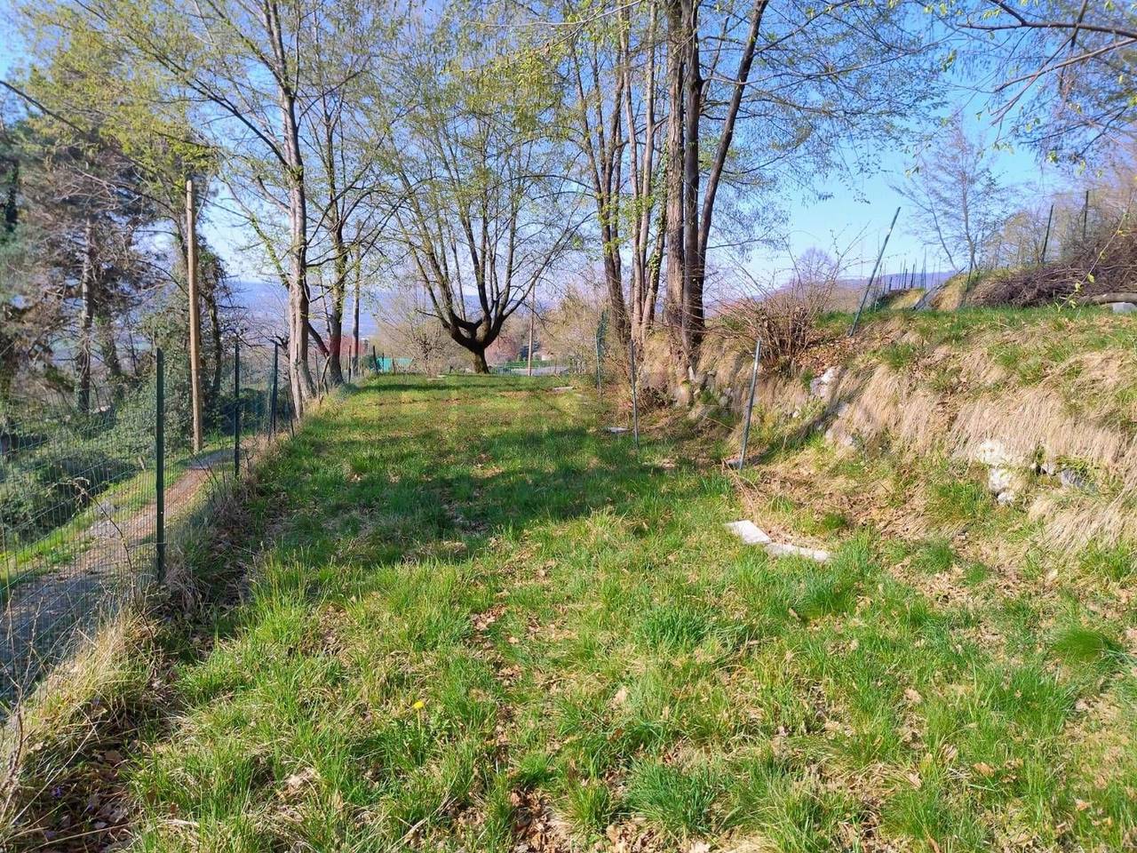 immagine annuncio 7 di 11