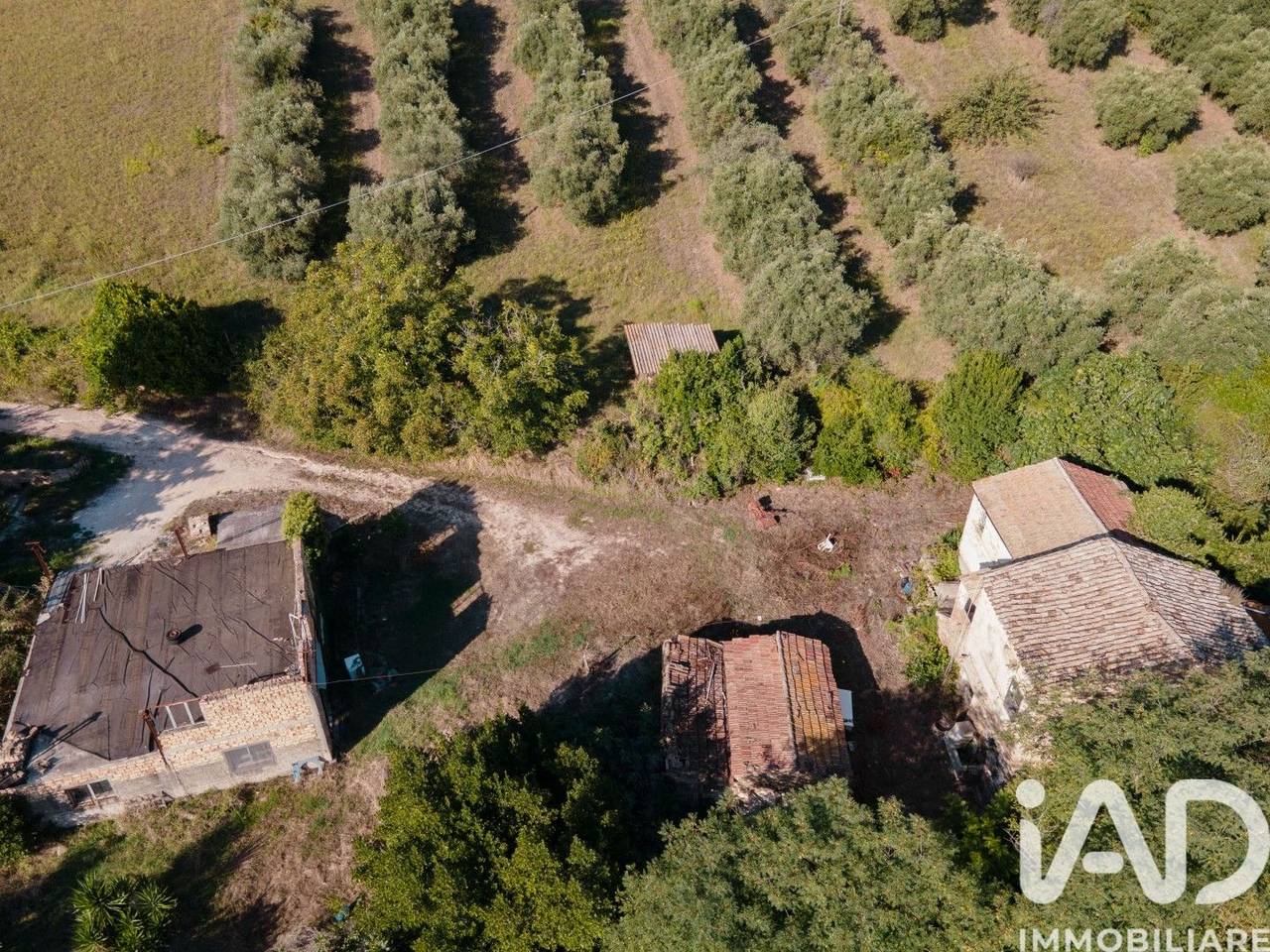 immagine annuncio 12 di 14