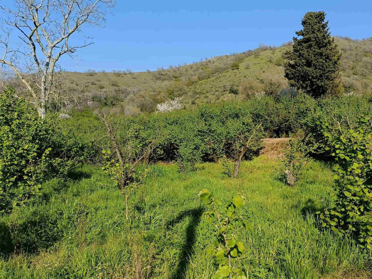 immagine annuncio 2 di 9