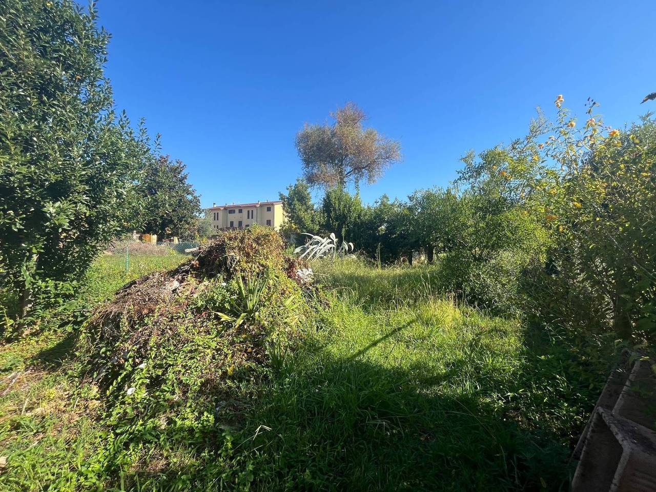 immagine annuncio 5 di 6