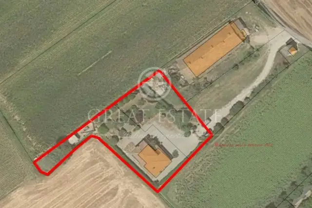 main planimetry real estate image