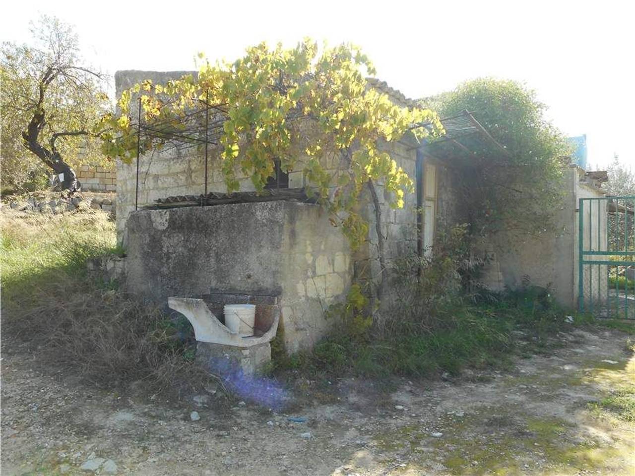 immagine annuncio 9 di 13