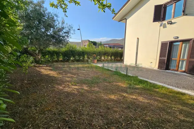 insertion image