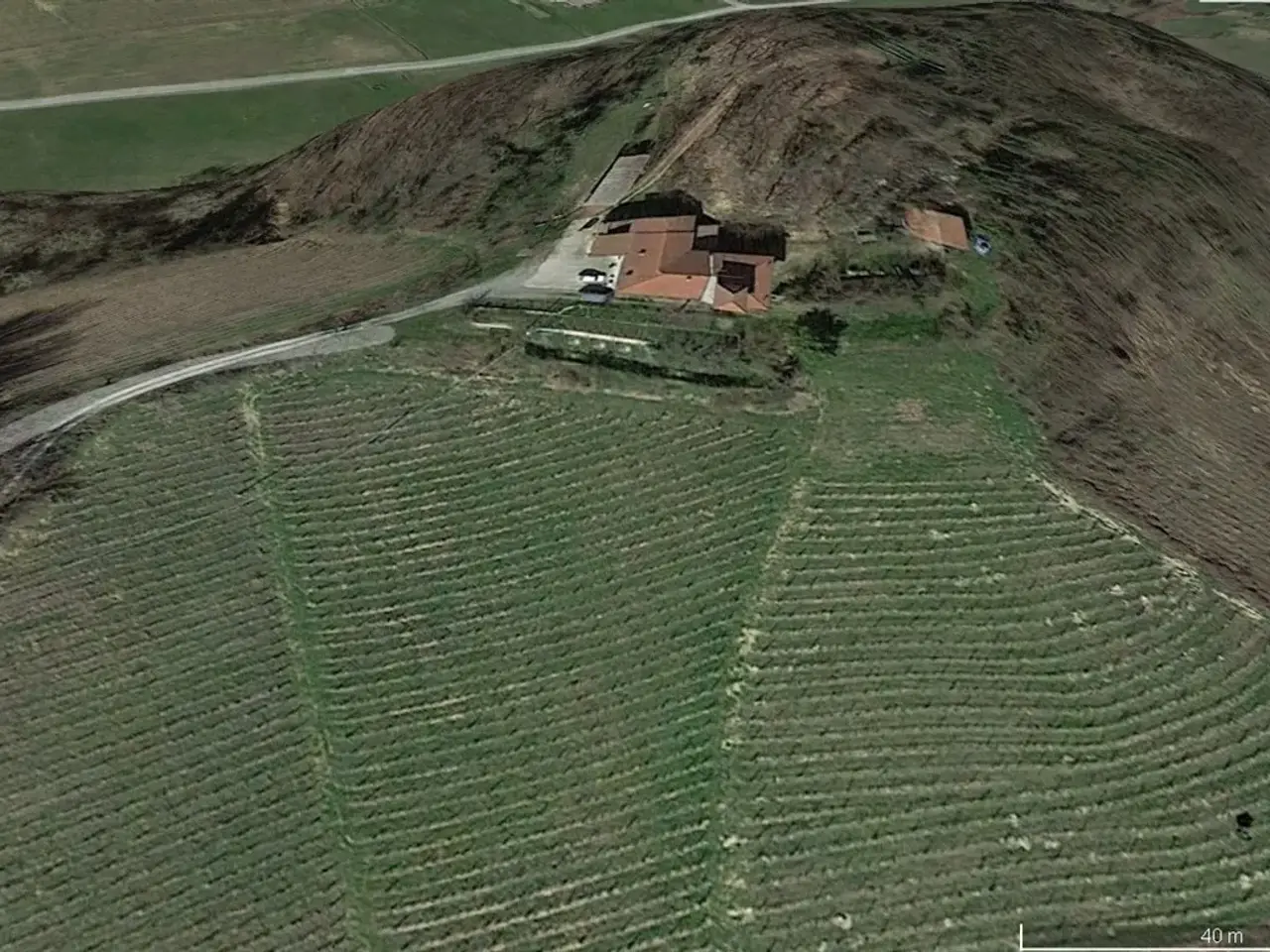 Azienda agricola in , Rocca Grimalda, {3} - Foto 2