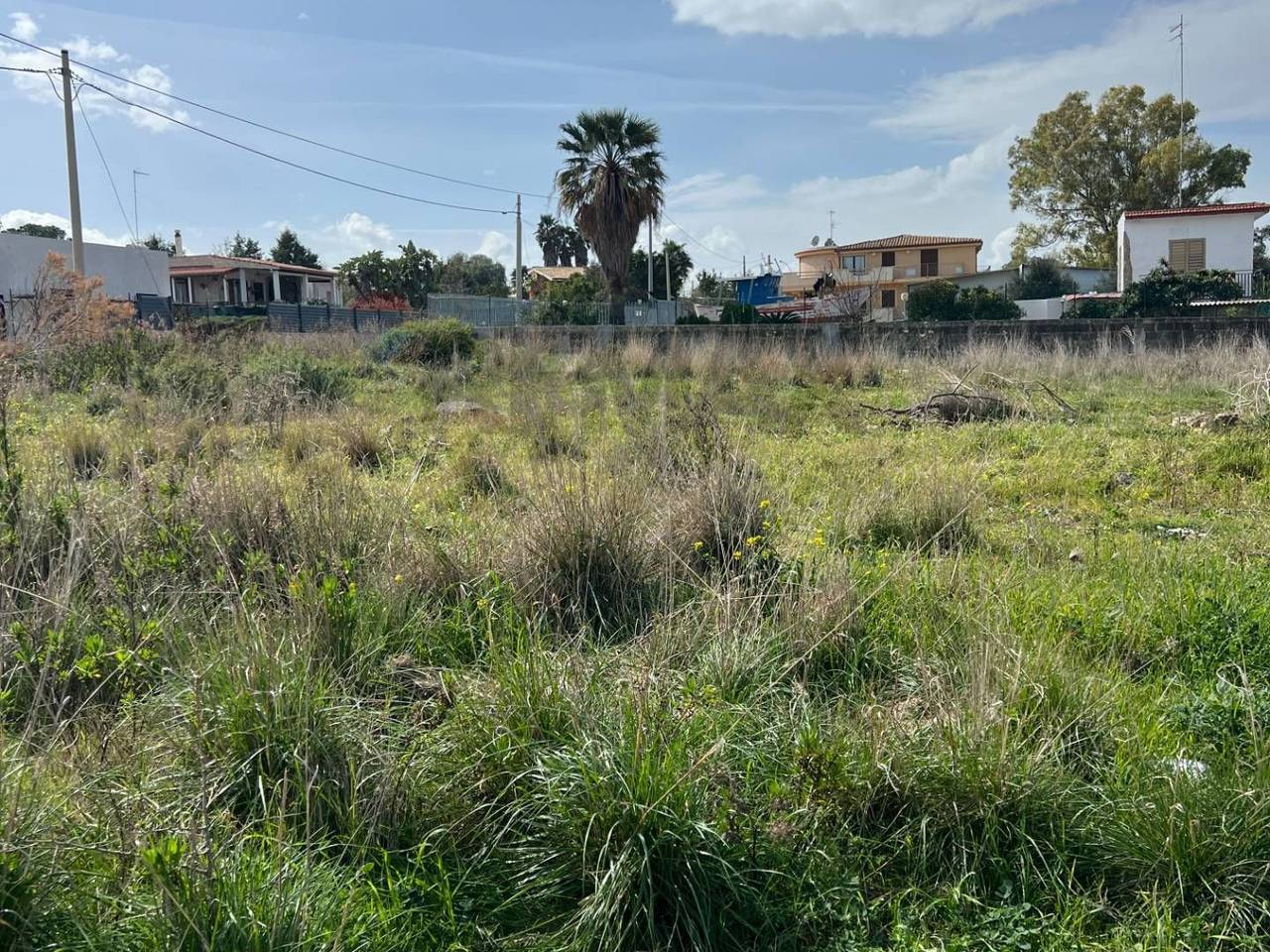 immagine annuncio 4 di 7