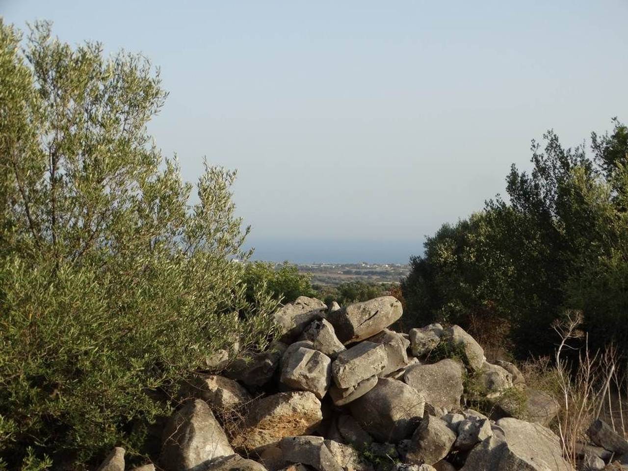 immagine annuncio 6 di 12