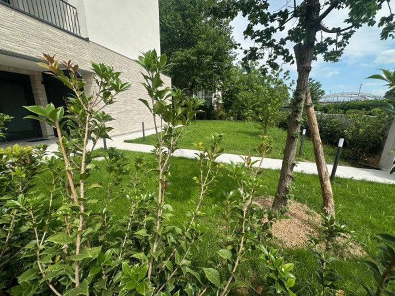 immagine annuncio 3 di 12