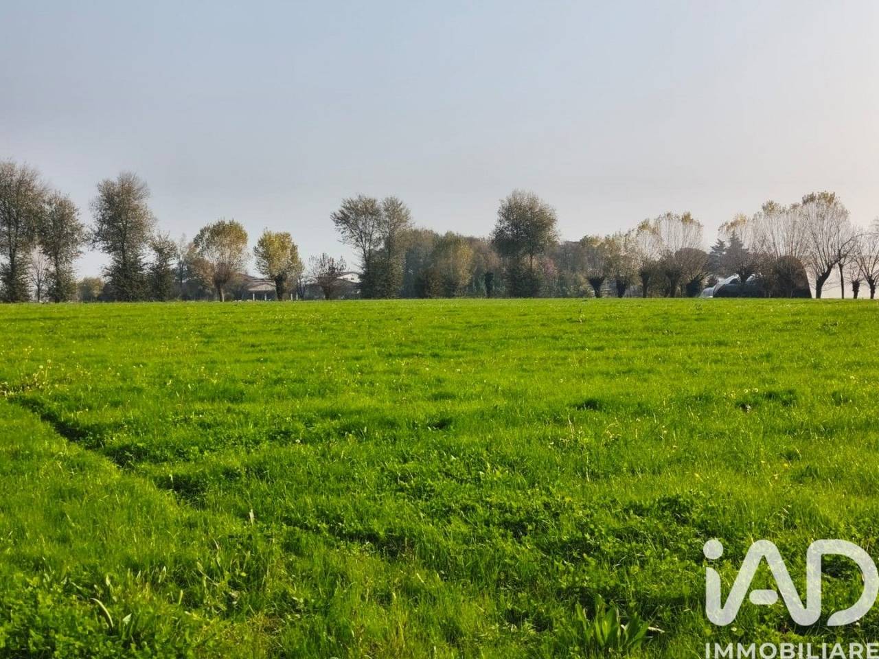 immagine annuncio 4 di 8