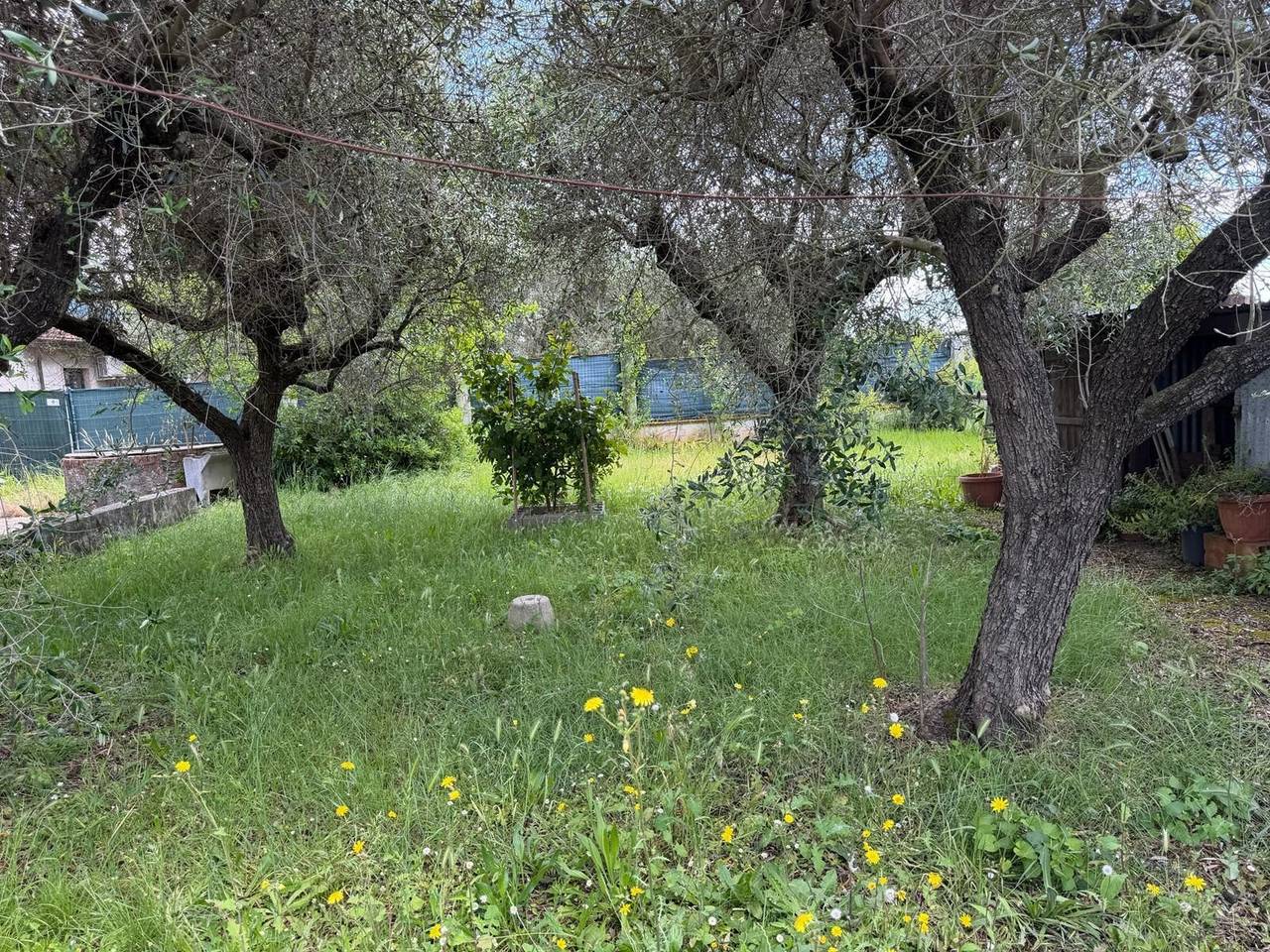 immagine annuncio 11 di 14
