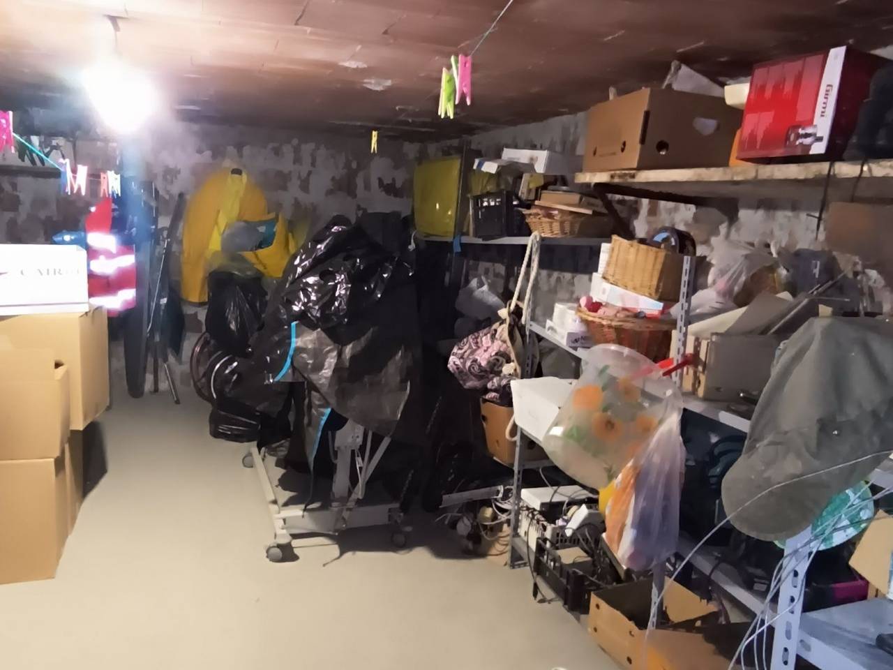 immagine annuncio 12 di 15