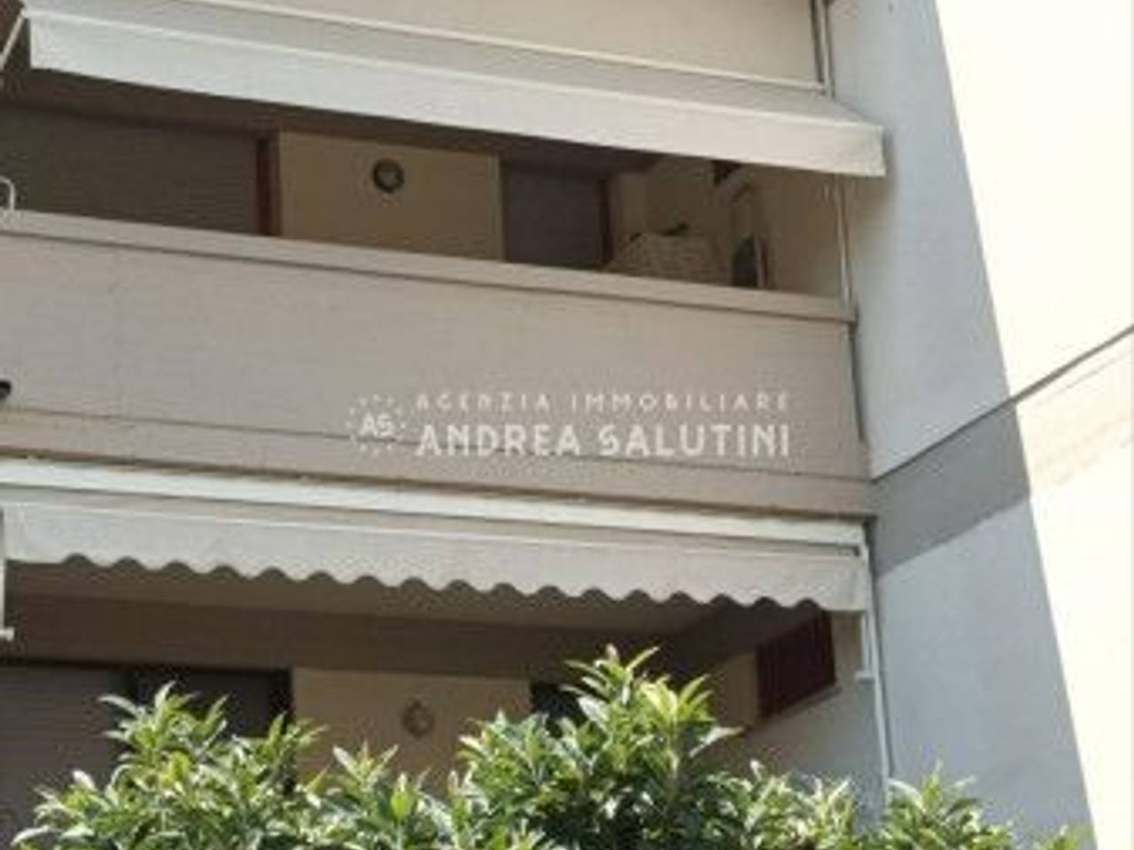 immagine annuncio 12 di 14