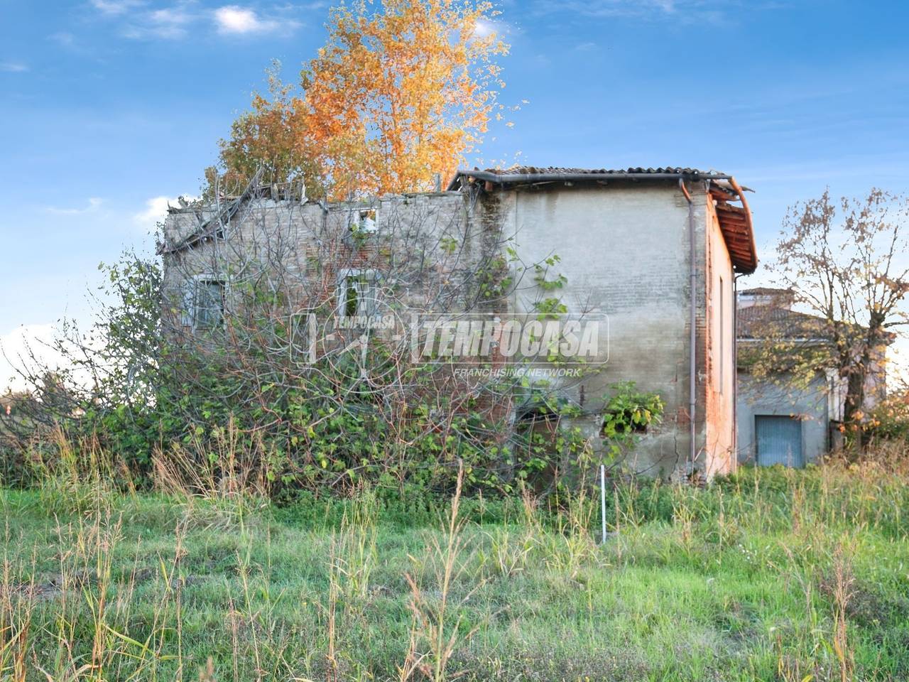 immagine annuncio 7 di 12
