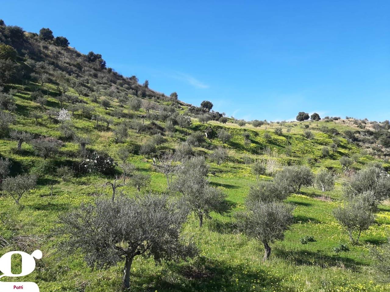 immagine annuncio 1 di 6