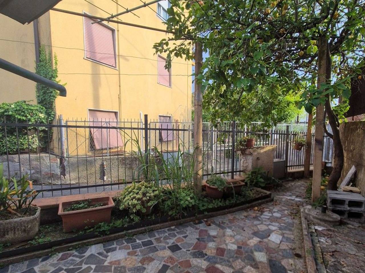 immagine annuncio 1 di 15