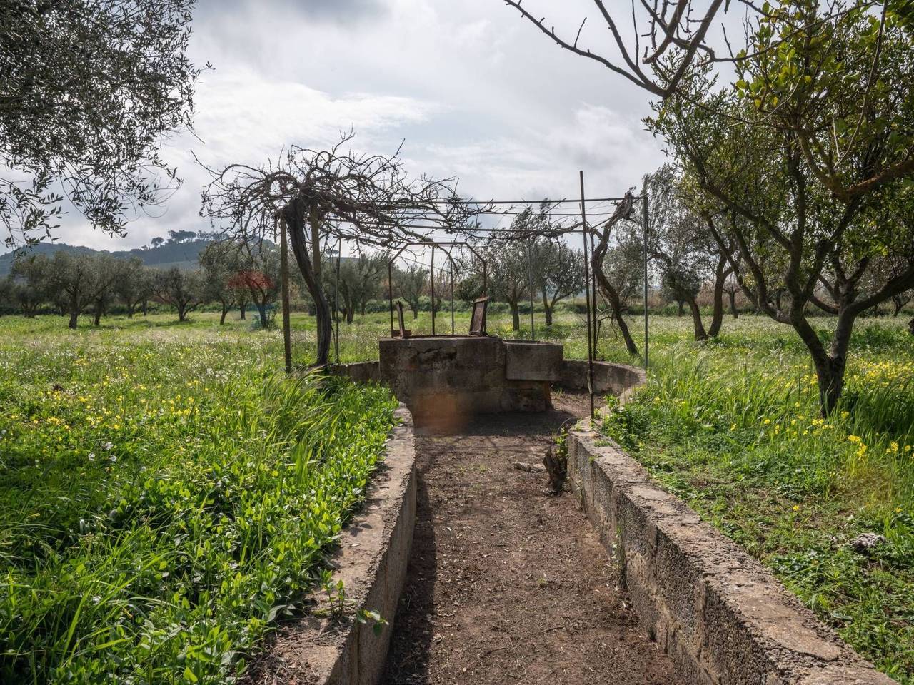 immagine annuncio 13 di 15