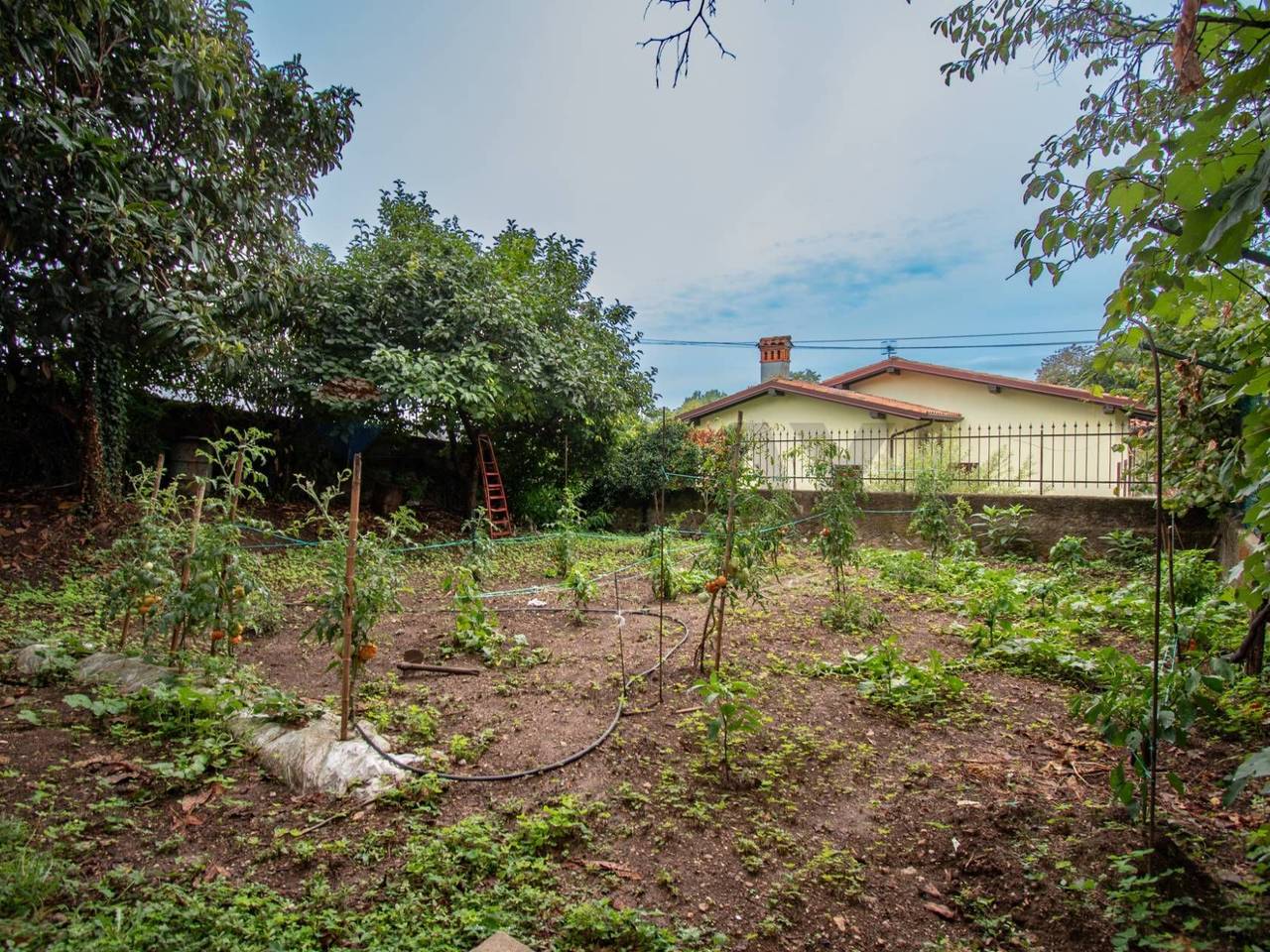 immagine annuncio 8 di 14