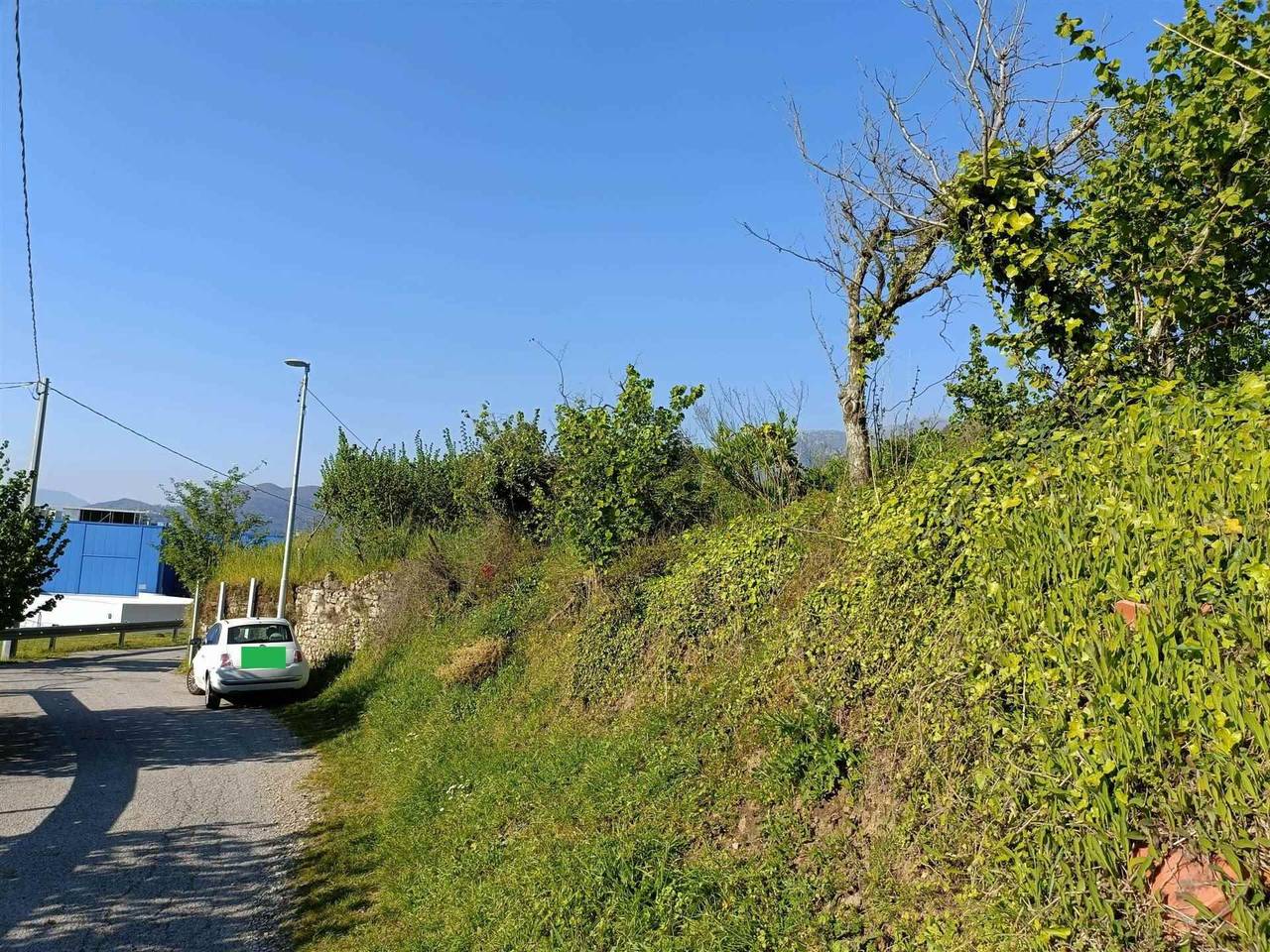 immagine annuncio 6 di 9