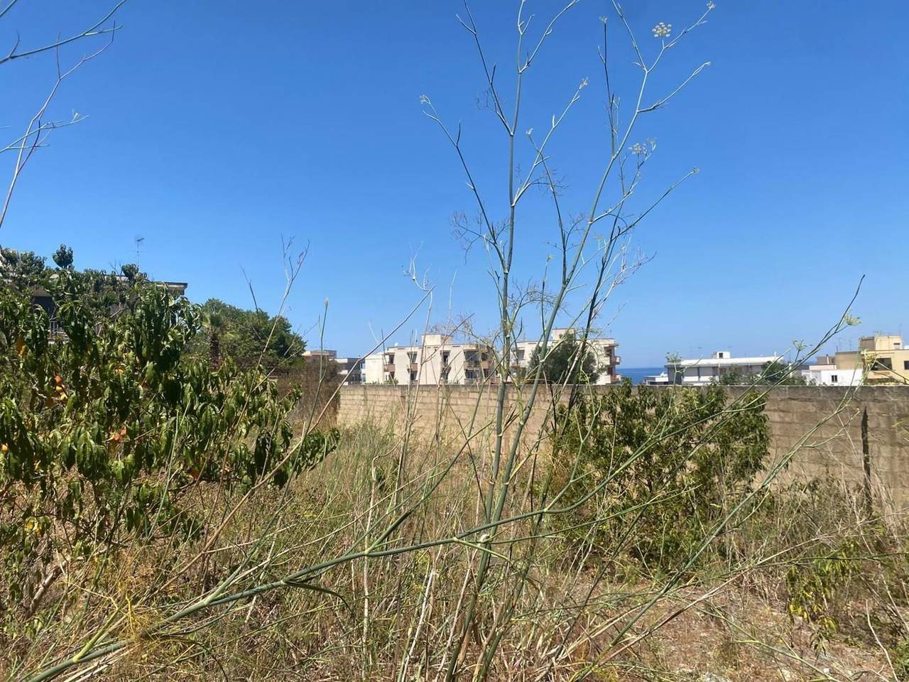 immagine annuncio 6 di 8