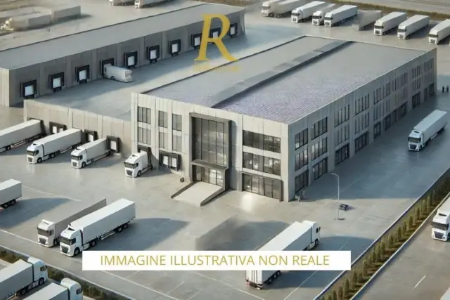 insertion image