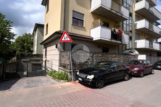 insertion image