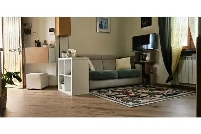 insertion image