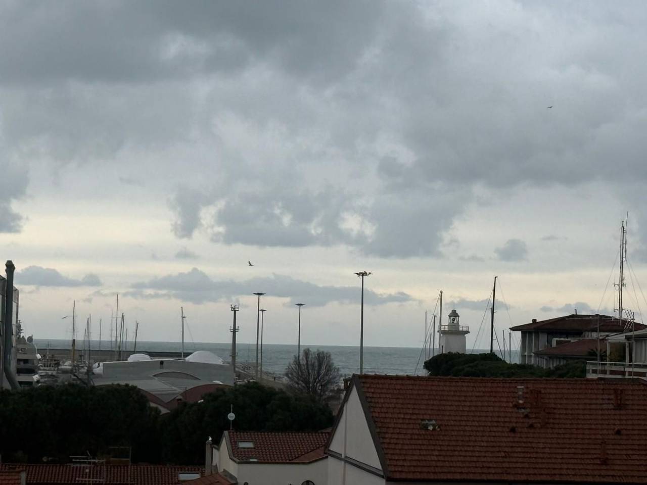 immagine annuncio 4 di 13