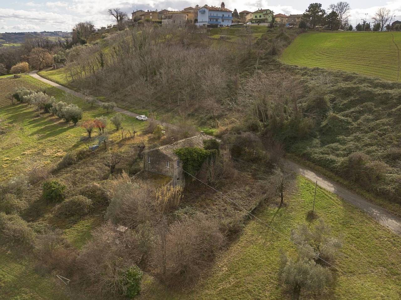 immagine annuncio 5 di 14