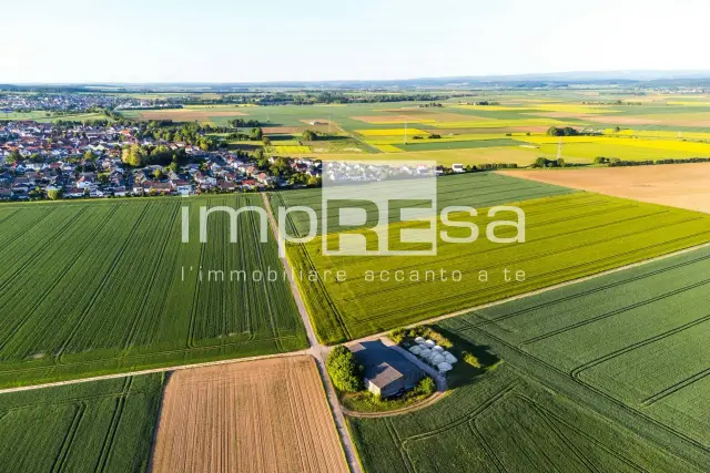 insertion image