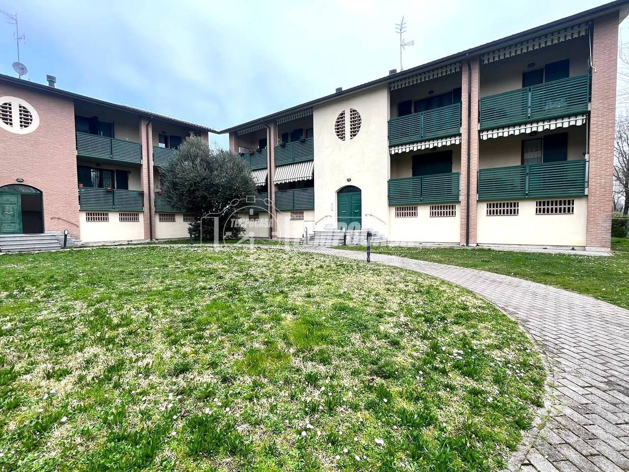 immagine annuncio 12 di 14