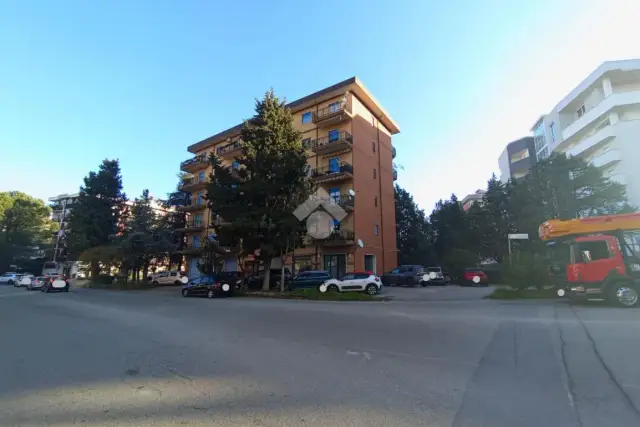 insertion image