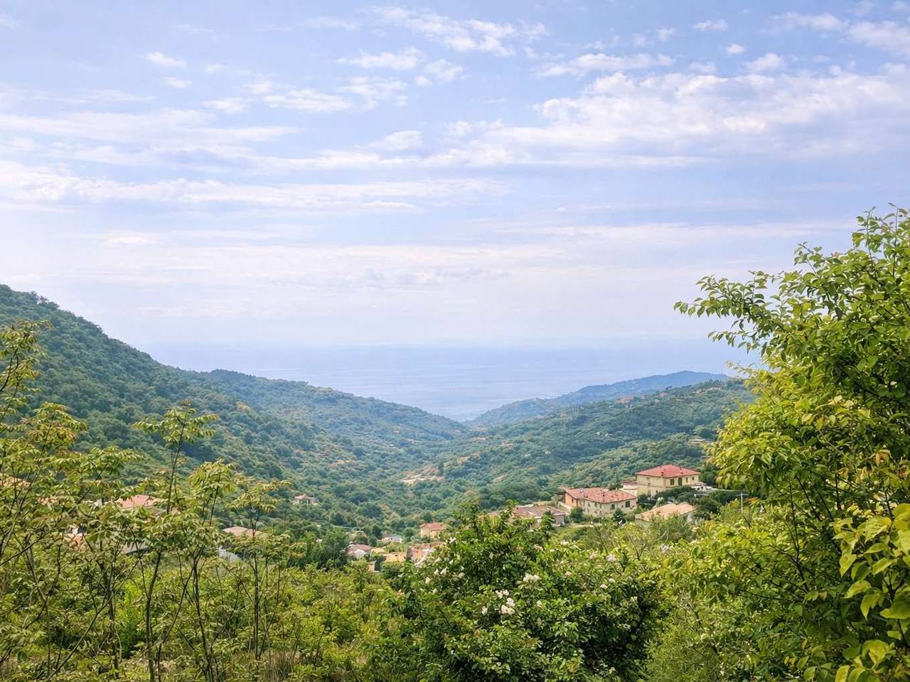 immagine annuncio 1 di 7